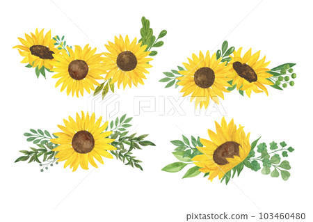 Sunflowers and leaves bouquet watercolor hand drawn floral illustration, summer field agricultural plant, flower and leaf, arrangement for greeting card, wedding invitations, holiday design Sunflowers and leaves bouquet watercolor hand drawn floral illustration, summer field agricultural plant, flower and leaf, arrangement for greeting card, wedding invitations, holiday design 103460480