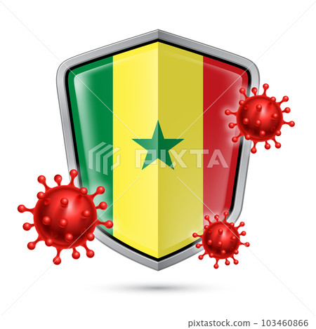 Shield Icon of Senegal Shield Icon of Senegal 103460866