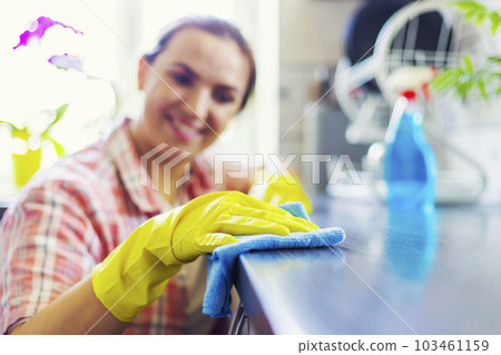 Housewife in yellow gloves wipes dust using spray detergent and rag Housewife in yellow gloves wipes dust using spray detergent and rag 103461159