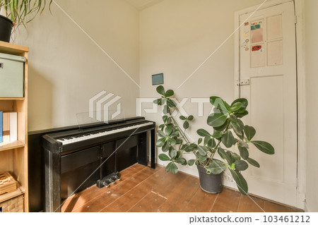 a living room with a piano and books on the shelf in front of the piano, there is a plant next to the piano 103461212