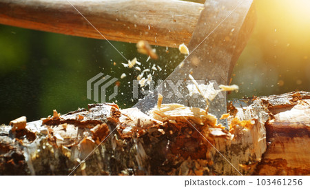 Detail of axe hitting wooden log in forest. 103461256