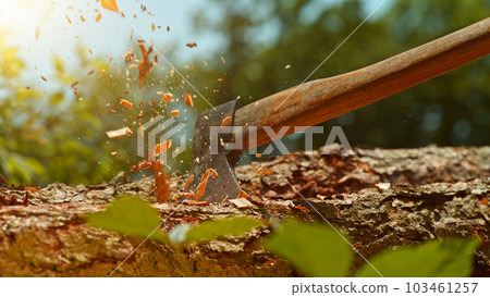 Detail of axe hitting wooden log in forest. 103461257