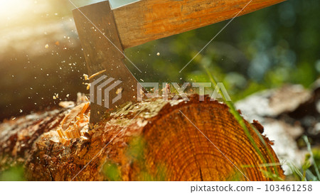Detail of axe hitting wooden log in forest. Detail of axe hitting wooden log in forest. 103461258