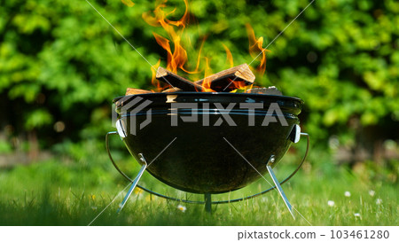 Barbecue Grill with Fire on Open Air. Fire flame 103461280