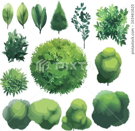 Beautiful trees bushes shrubs top view vector 103461620