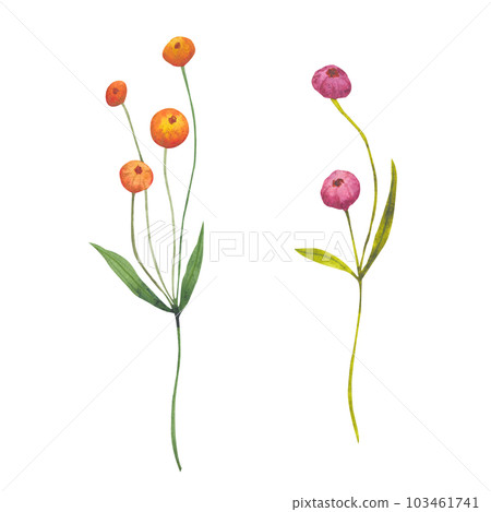 Watercolor abstract greenery branch with purple and orange berries. Botanical illustration on a white background. Ideal for templates, greeting cards, graphics design 103461741