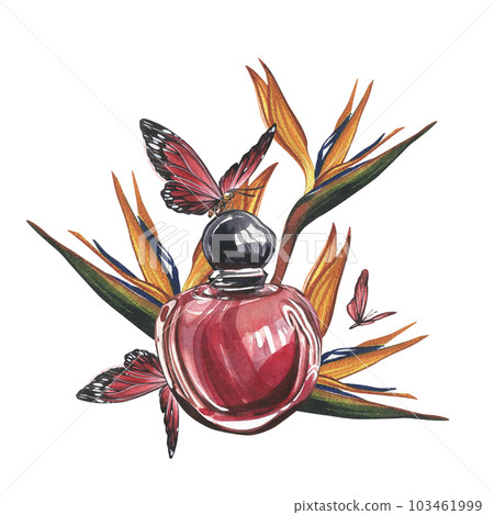 Red perfume bottle, strelitzia, butterfly isolated on white background. Watercolor hand drawn illustration. Art design 103461999
