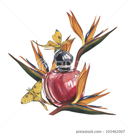 Red perfume bottle, strelitzia, butterfly isolated on white background. Watercolor hand drawn illustration. Art design Red perfume bottle, strelitzia, butterfly isolated on white background. Watercolor hand drawn illustration. Art design 103462007