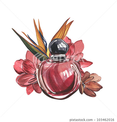 Red perfume bottle, strelitzia flower isolated on white background. Watercolor hand drawn illustration. Art for design Red perfume bottle, strelitzia flower isolated on white background. Watercolor hand drawn illustration. Art for design 103462016