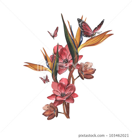 Butterfly, flower strelitzia isolated on white background. Watercolor hand drawn botanical illustration. Art for design 103462021