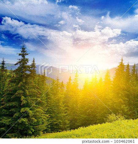 Picturesque sunrise on background of beautiful mountains 103462061