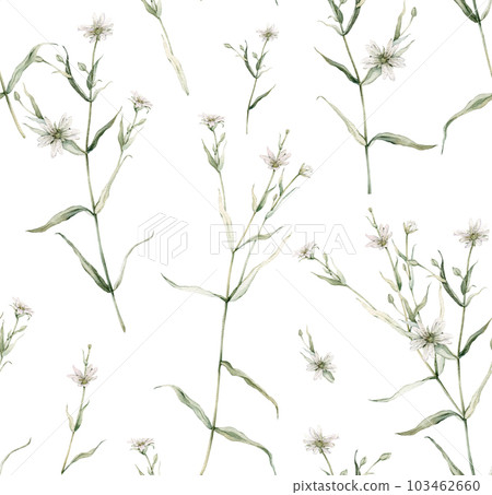 Watercolor seamless pattern with stellaria holostea. Rabelera holostea. Hand painted small white flower and leaves isolated on white background. Illustration for design, fabric, print or background. Watercolor seamless pattern with stellaria holostea. Rabelera holostea. Hand painted small white flower and leaves isolated on white background. Illustration for design, fabric, print or background. 103462660