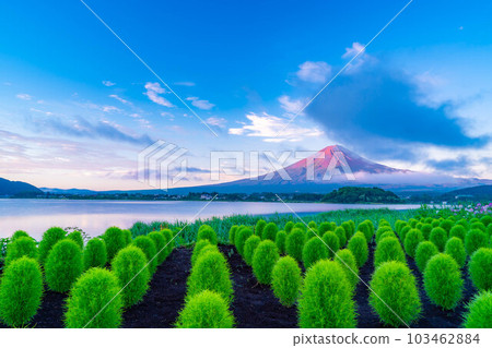 [Mt. Fuji material] Mt. Fuji seen from Lake Kawaguchi in summer [Yamanashi Prefecture] 103462884