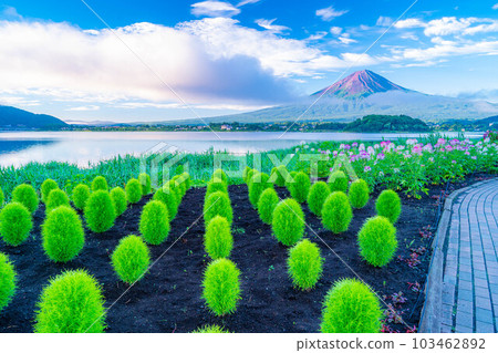 [富士山素材]夏天從河口湖看到的富士山[山梨縣] 103462892