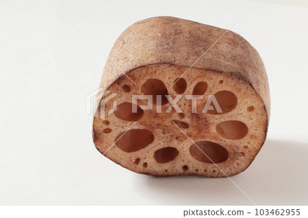 Close-up lotus root Close-up lotus root 103462955