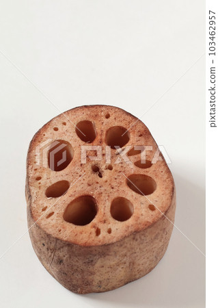 Close-up lotus root 103462957