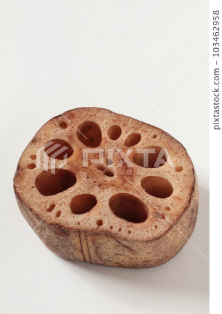 Close-up lotus root Close-up lotus root 103462958