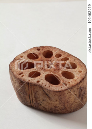 Close-up lotus root Close-up lotus root 103462959