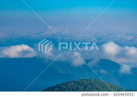 Morning in Utsukushigahara Plateau [Nagano Prefecture] 103463052