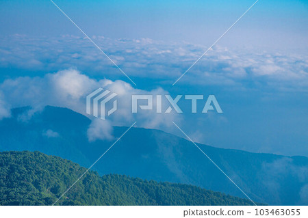 Morning in Utsukushigahara Plateau [Nagano Prefecture] 103463055