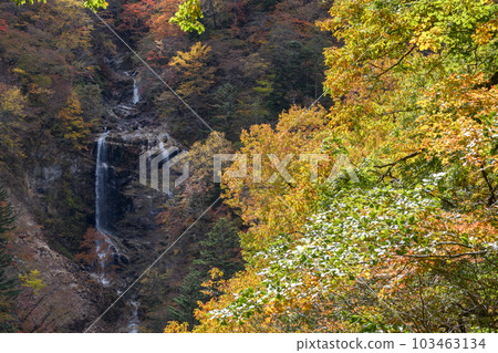 Jao Falls in autumn 103463134