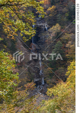 秋天的 Jao 瀑布 103463139