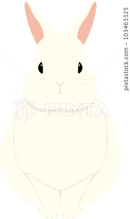 sitting white rabbit sitting white rabbit 103463325