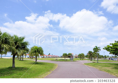 豐崎海濱公園 豐崎海濱公園 103463328