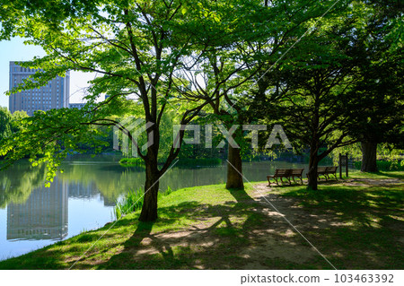 Nakajima Park and Iris Pond in early summer_2674 103463392