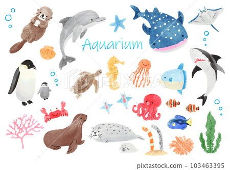 Illustration set of cute creatures in the aquarium hand-drawn watercolor 103463395
