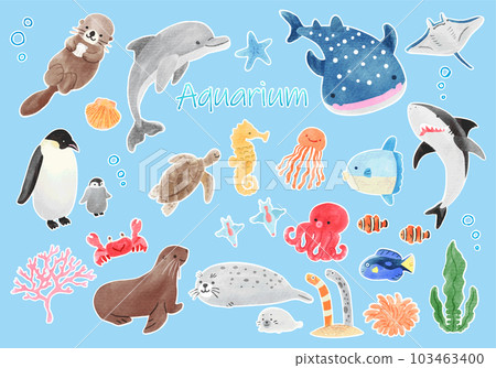 Illustration set of cute creatures in the aquarium hand-drawn watercolor with white border Illustration set of cute creatures in the aquarium hand-drawn watercolor with white border 103463400
