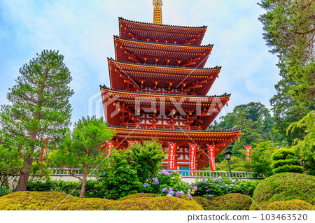 東京日野市高畠不動尊金剛寺五層寶塔和繡球花 103463520