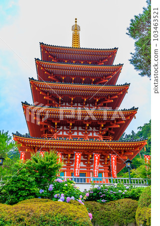 東京日野市高畠不動尊金剛寺五層寶塔和繡球花 103463521