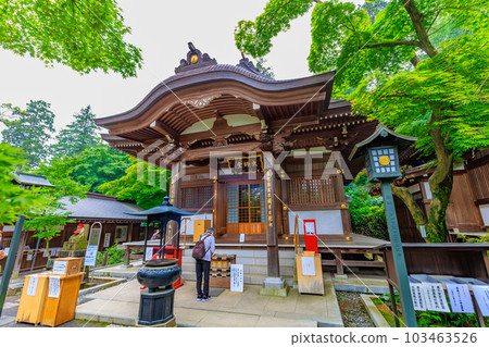 Tokyo Hino City Takahata Fudoson Kongo-ji Temple Daishido and Hydrangea 103463526