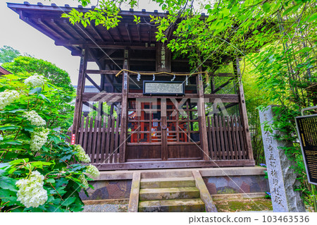 Tokyo Hino City Takahata Fudoson Kongo-ji Temple Kongo-ji Temple Former Gobu Gongen Shrine 103463536