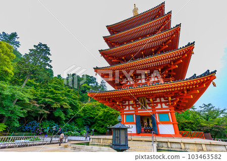 Tokyo Hino City Takahata Fudoson Kongo-ji Temple Hydrangea and five-storied pagoda 103463582