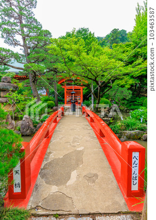 Tokyo Hino City Takahata Fudoson Kongo-ji Temple Hydrangea and Bentendo Tokyo Hino City Takahata Fudoson Kongo-ji Temple Hydrangea and Bentendo 103463587