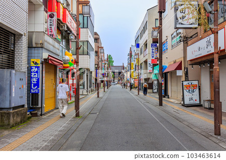 東京日野市京王線高幡不動站南口高幡不動尊入口 103463614