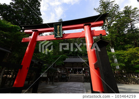 Torii of Niu Kawakami Shrine Torii of Niu Kawakami Shrine 103464259