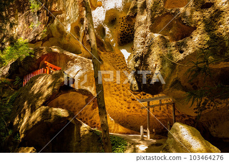 Unexplored Tarumizu Ruins 103464276