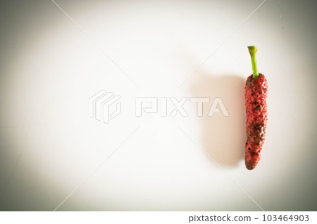 White leaf character white back letter space 103464903