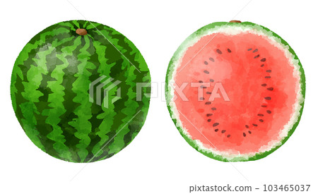 Hand drawn illustration of watermelon in watercolor style Hand drawn illustration of watermelon in watercolor style 103465037