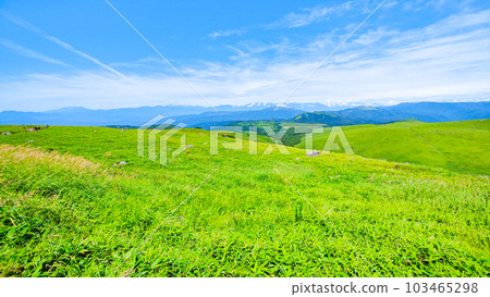 Kurumayama Plateau (Summer): View toward the Northern Alps Kurumayama Plateau (Summer): View toward the Northern Alps 103465298