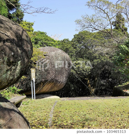 鹿兒島縣和泉市野田町野田奇石、川平鄉間公園巨石、櫻花盛開時 鹿兒島縣和泉市野田町野田奇石、川平鄉間公園巨石、櫻花盛開時 103465313