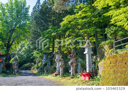 Zuihoji Temple precincts Kominehara Kaido Kanuma City 103465329
