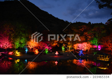 Beautiful Japanese garden illumination in Ushibuka, Kumamoto 103465334