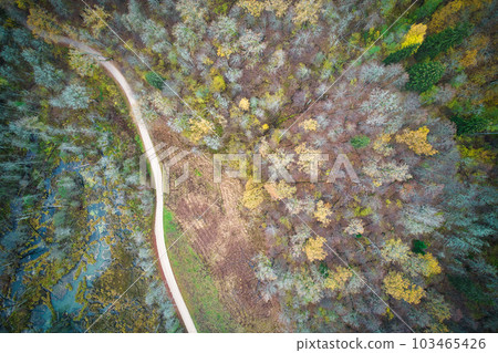 Aerial full frame view from drone of idyllic country road leading through gallant pine and birch forests in dark green colors in cloudy rainy weather  103465426