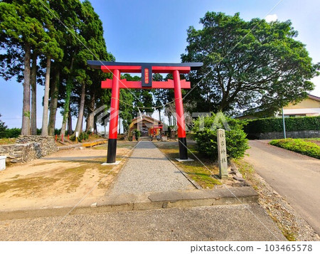 鹿兒島縣和泉市高尾野町住吉神社 103465578