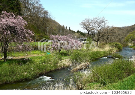 Yamada Line along Yonai River 103465623