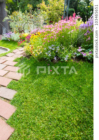 《神戶市》山中植物園布引藥草園/ 《神戶市》山中植物園布引藥草園/ 103465651